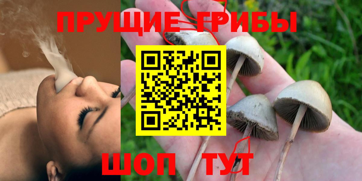 Ефремов  купить наркотик  Вход с VPN  Галлюциногенные грибы мицелий 